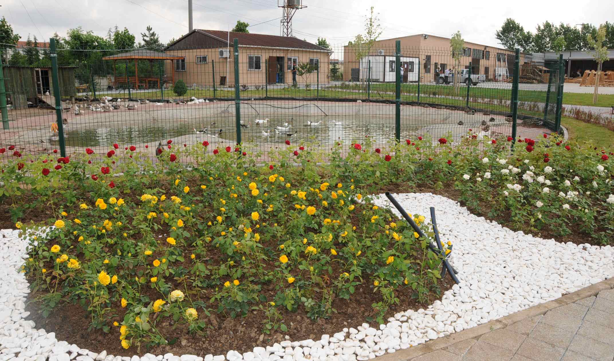 Park ve Baheler Mdrlnden Hizmet Ata
