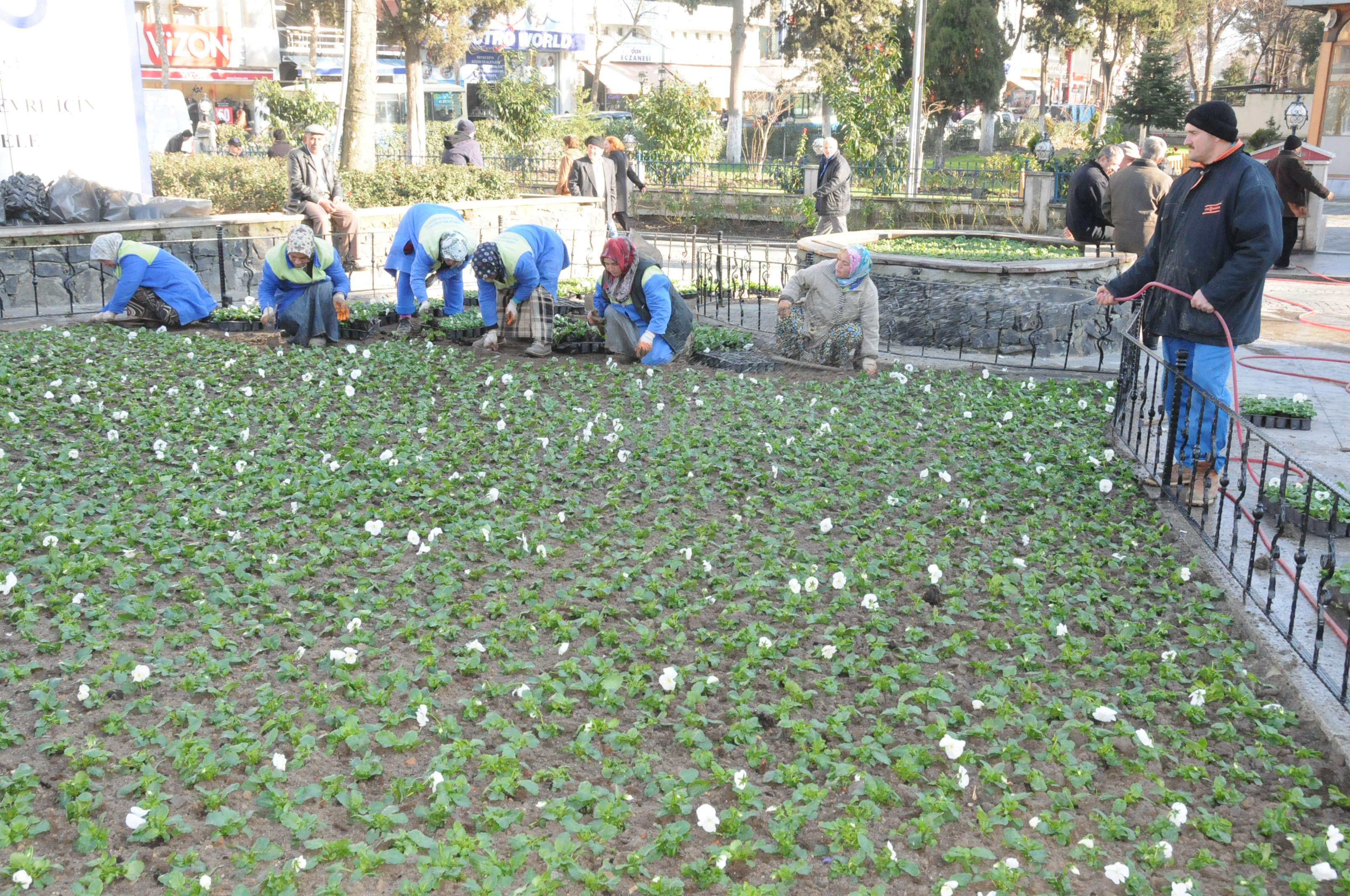 �orlu �i�eklerle Bezeniyor