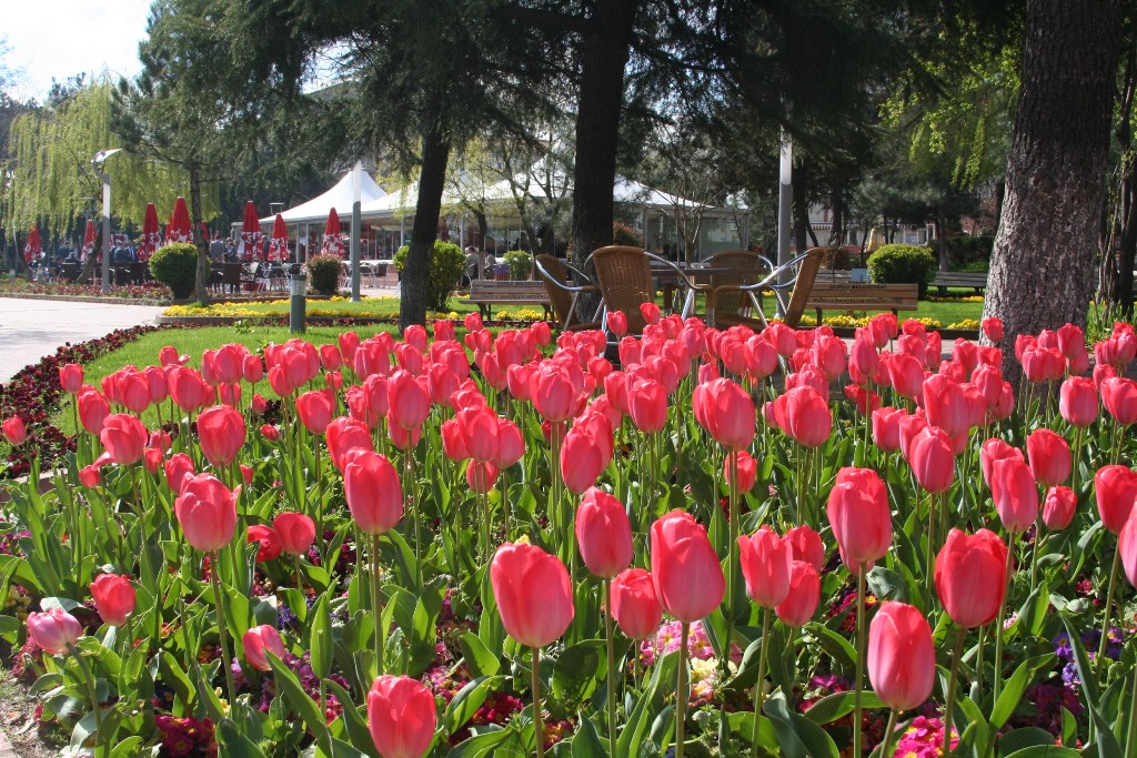 �orlu Lalelerle S�slendi