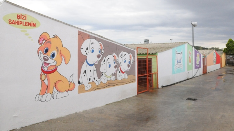 orlu Belediyesi Hayvan Bakmevinin Yenilenen Yz