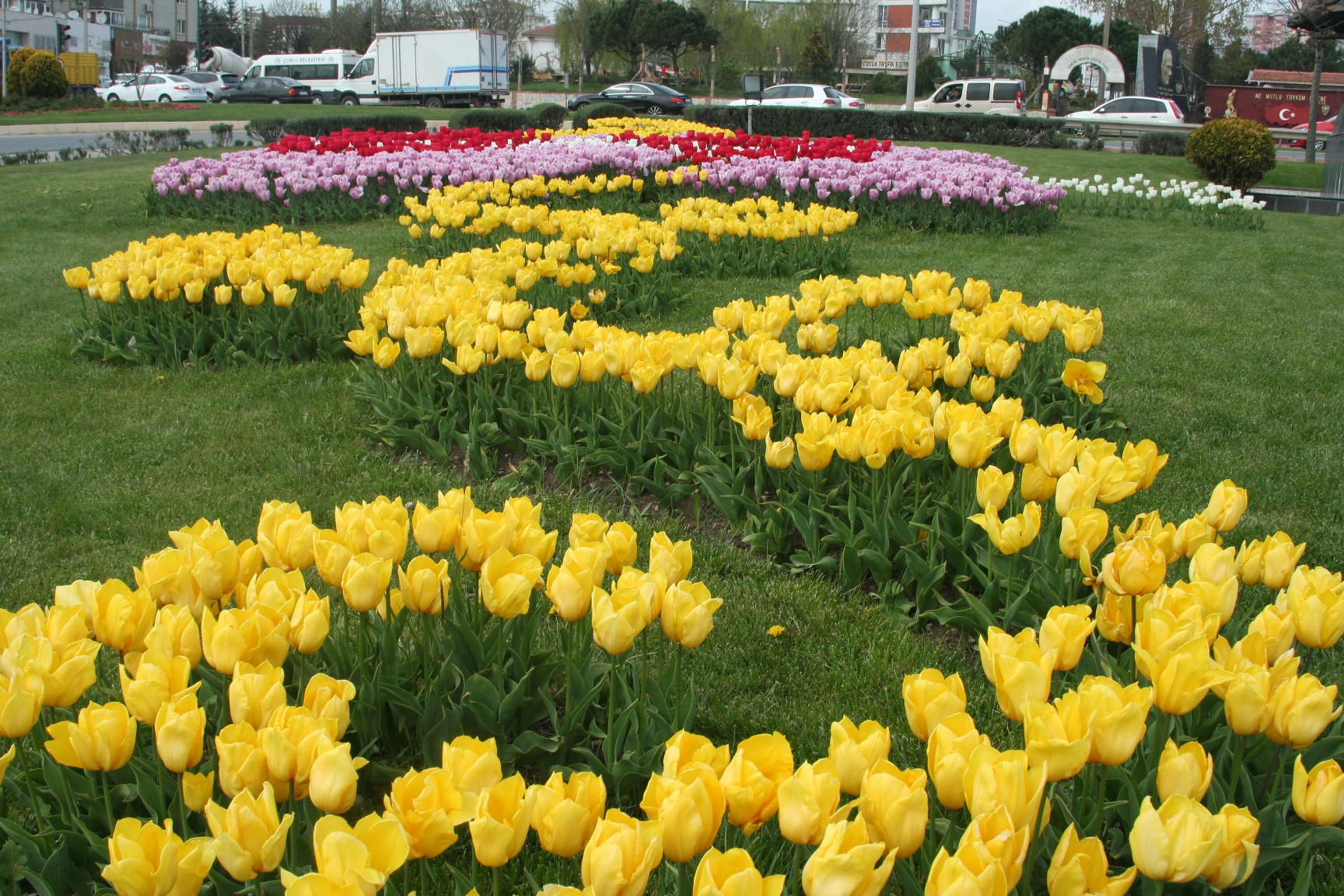 �orlu Lale ve S�mb�llerle Bezendi