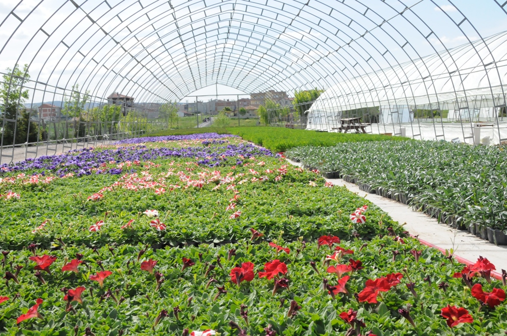 Belediyemizin Seras� Ye�illendi