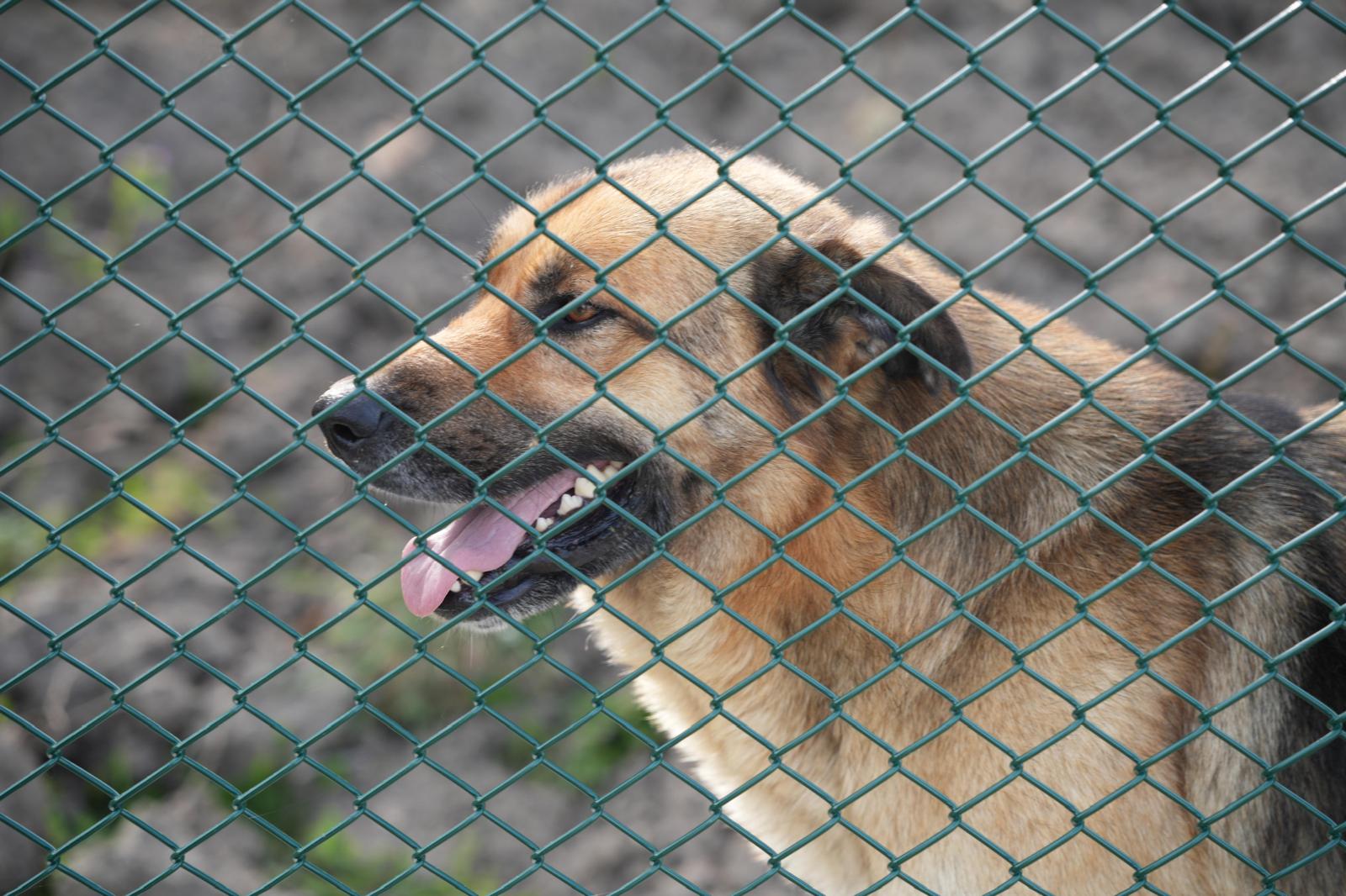 Do�al Ya�am Alan� ��in Geri Say�m Ba�lad�