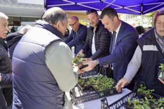 orlu Belediyesinden Vatandalara Seymen Kavunu Fidesi