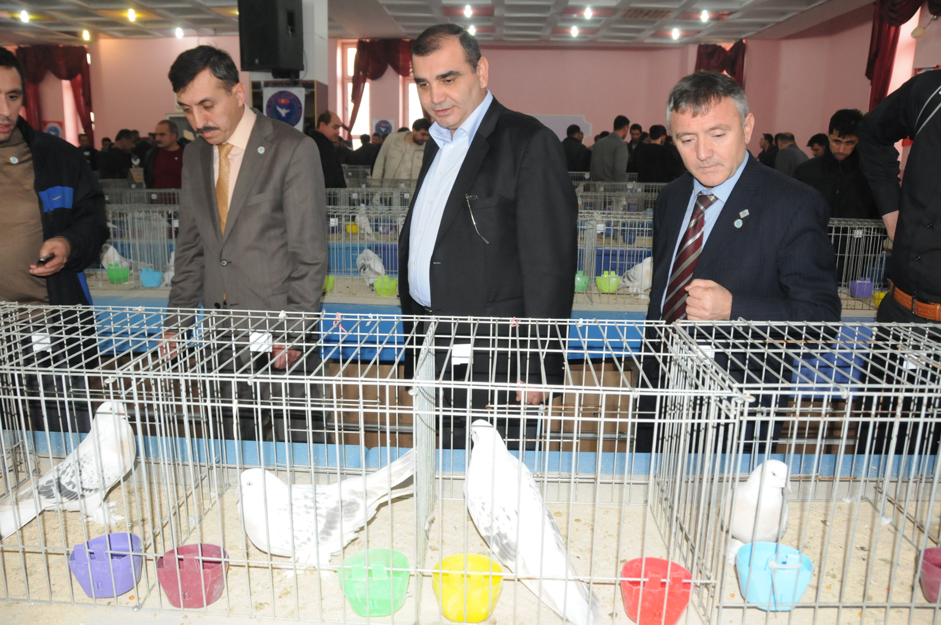 �ebap G�vercin Festivali �orlu�da Yap�ld�