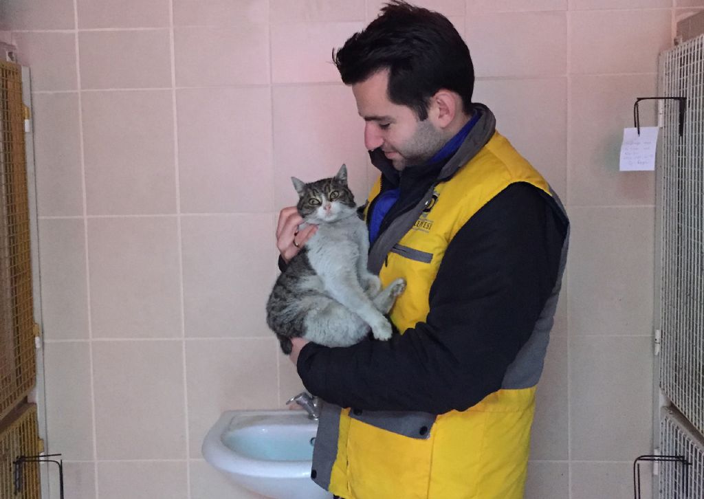 Donmak Üzere Olan Kedi ve Karga Kurtarıldı