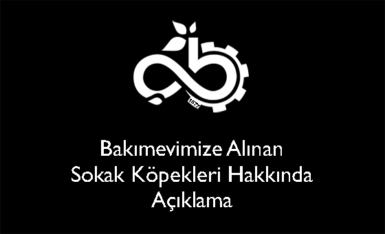Bakmevimize Alnan Sokak Kpekleri Hakknda Aklama