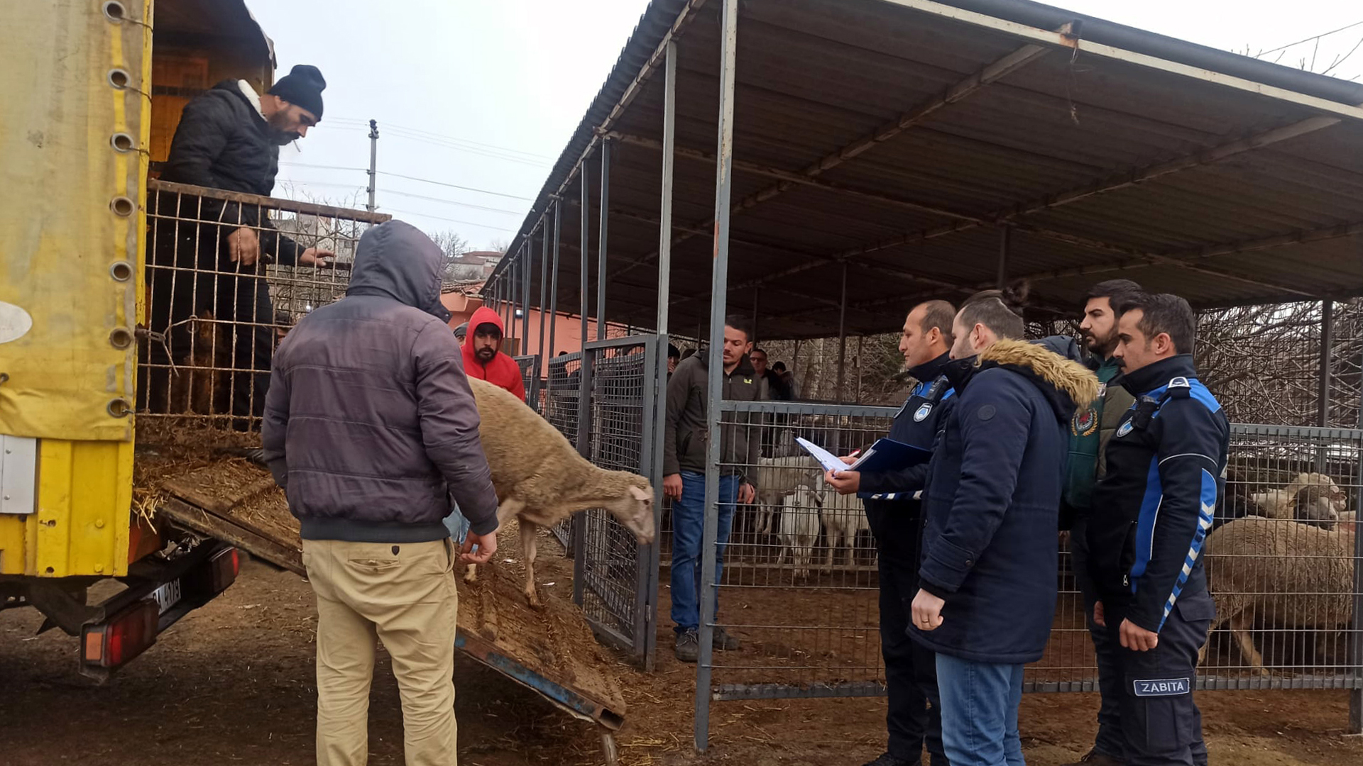 Hayvan Sat Yerinde Denetim Gerekletirildi