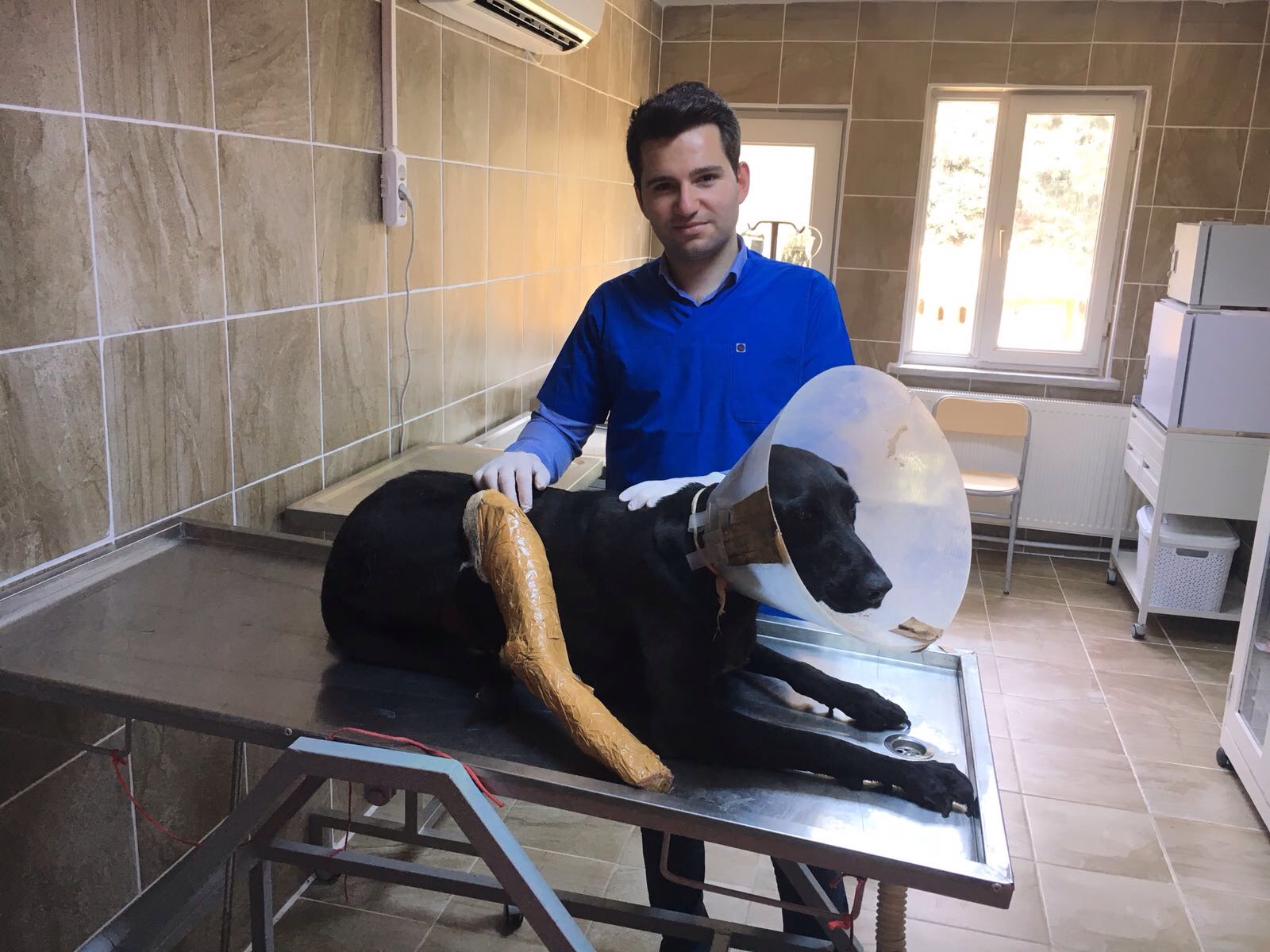 Kaza Geiren Sevimli Dostumuz Tedavi Altnda