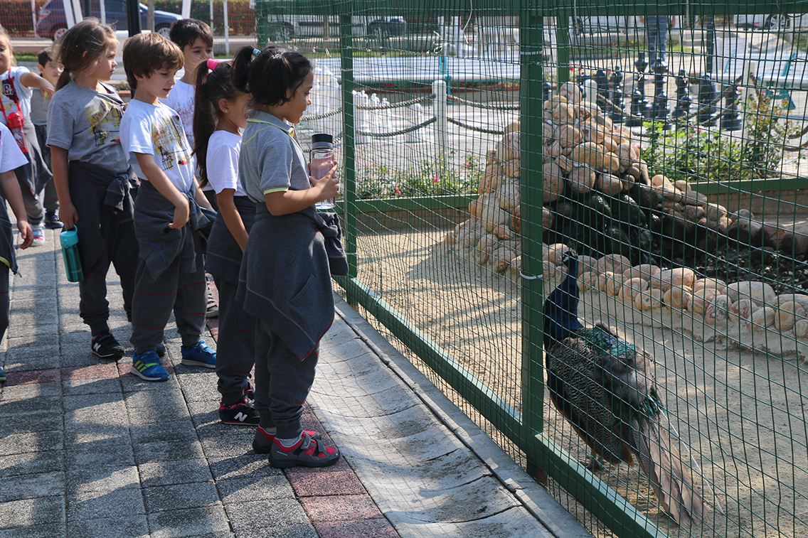 Hayvanlar� Koruma G�n��nde Hayvanat Bah�esine Ziyaret