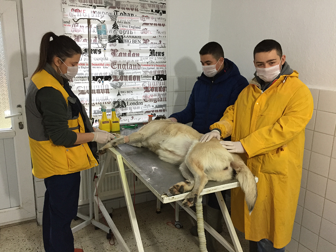 oban Kpei eker Kanseri Yendi