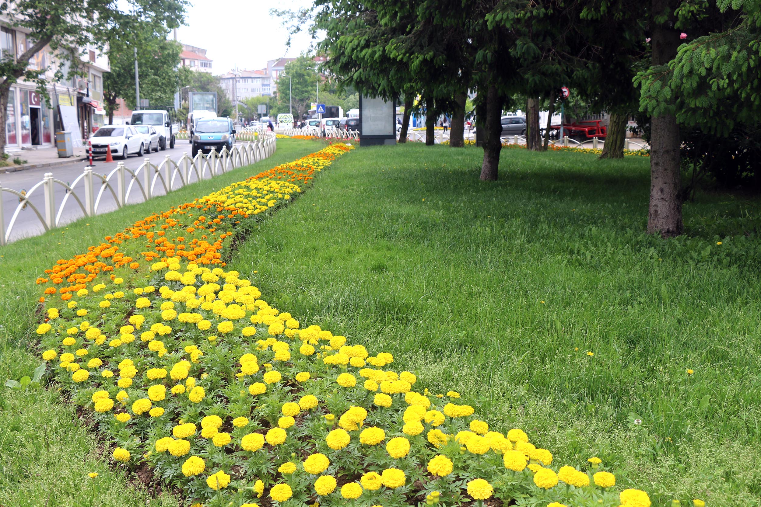 Peyzaj ve evre Dzenleme almalar Sryor