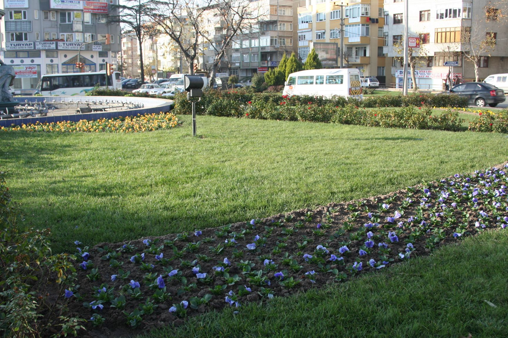 Park ve Bahelerde Youn alma 
